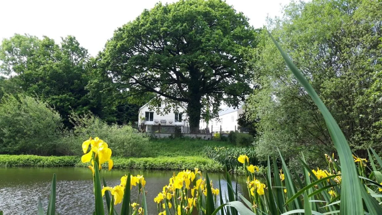 La Maison De L'Etang Ploerdut